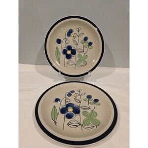 Set of 2 Quasar Petit Fleur Sy-9873R Dinner Plate Stone Ware Japan Hand painted
